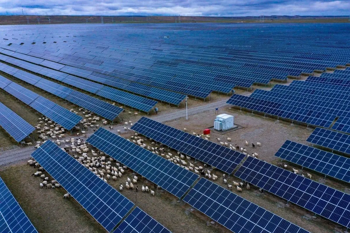 Solar Industry